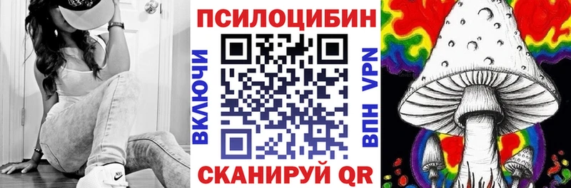 Псилоцибиновые грибы Psilocybe Купить Екатеринбург